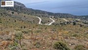 Agios Pavlos Kreta Kreta Ag. Pavlos, Einmalige Investitionsgelegenheit Grundstück in Lampi, Agios Pavlos, Kreta Grundstück kaufen